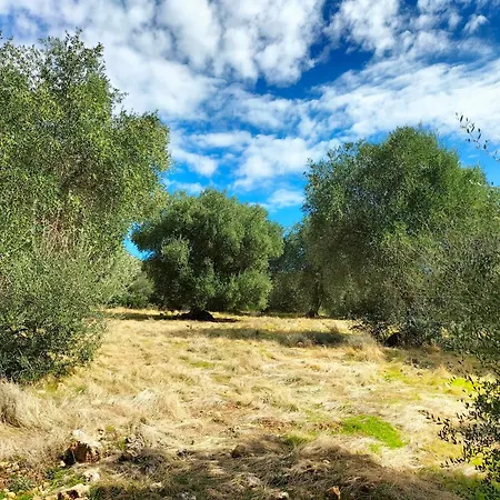 Lillastro * Braccagni